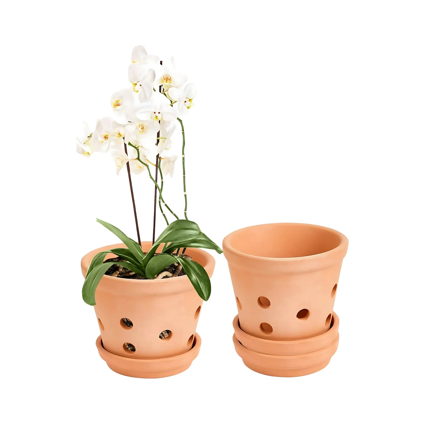 Terracotta Orchid Pots Clay Planters with Saucers Indoor Outdoor Plants