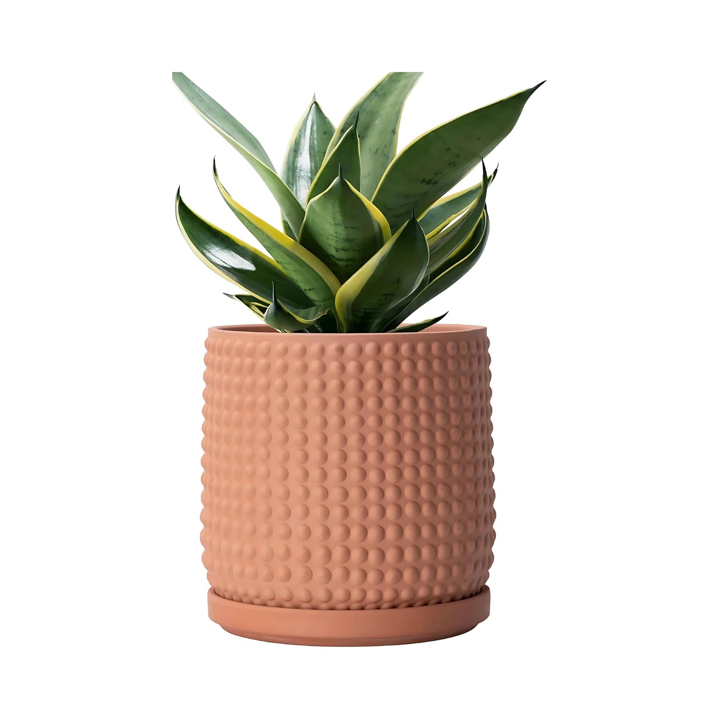 Terracotta Planter Pot with Drainage Hole Modern Indoor Succulent Flower