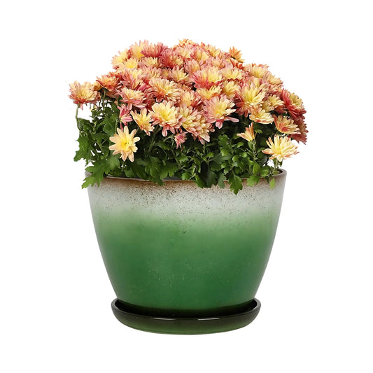 Worth Garden Plastic Round Plant Pots Multicolor Flower Planter Set